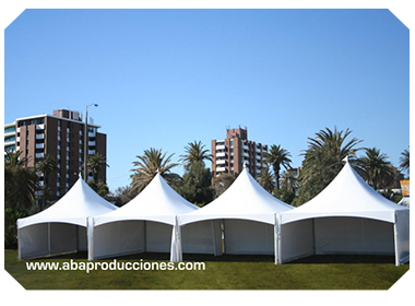 RENTA DE CARPAS EN EL DF