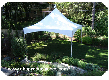 RENTA DE CARPAS ECONOMICAS EN EL DF